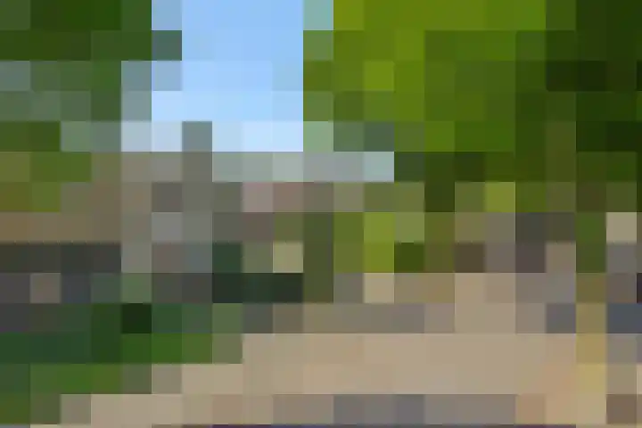 Rozenstraat 15 Heesch thumbnail 40