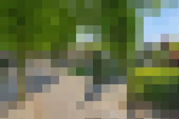 Rozenstraat 15 Heesch thumbnail 42