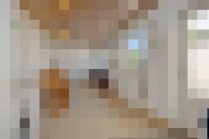 Rozenstraat 15 Heesch thumbnail 9
