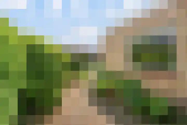 Rozenstraat 17 Didam thumbnail 13