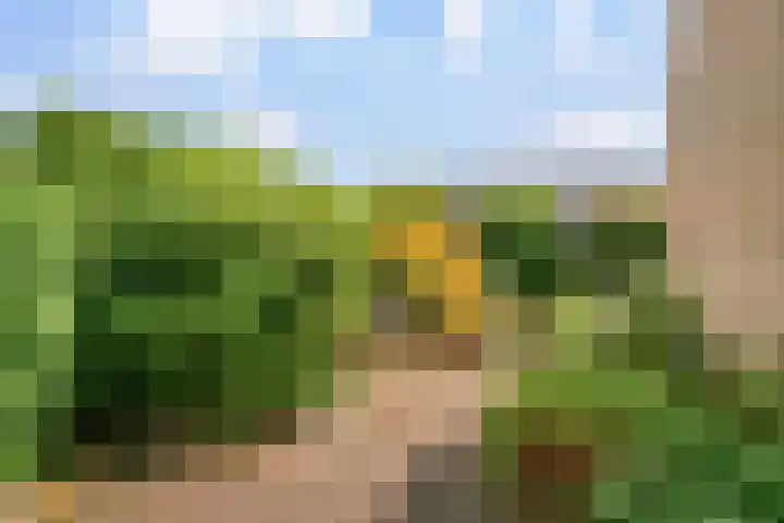 Rozenstraat 17 Didam thumbnail 14