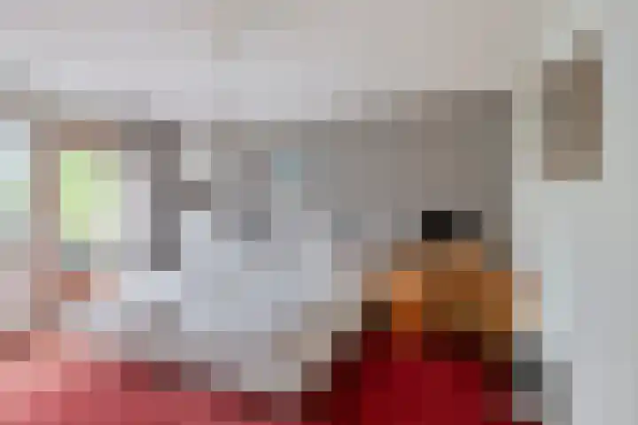 Rozenstraat 17 Didam thumbnail 17