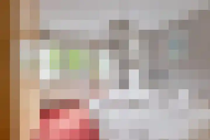 Rozenstraat 17 Didam thumbnail 18