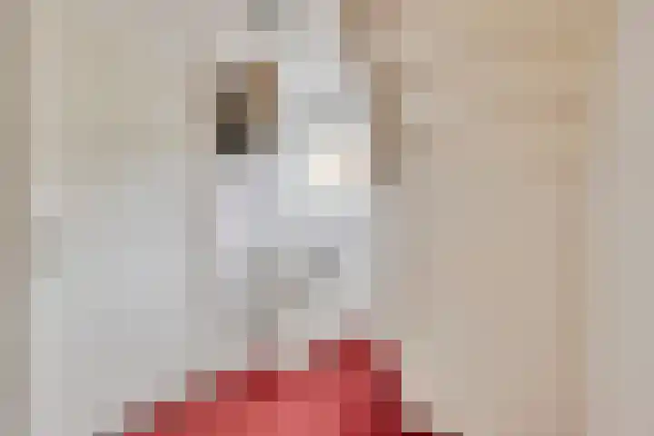 Rozenstraat 17 Didam thumbnail 23
