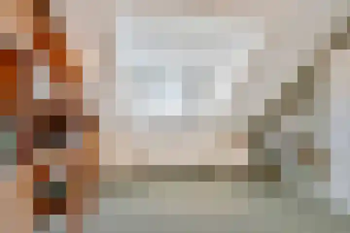 Rozenstraat 17 Didam thumbnail 25