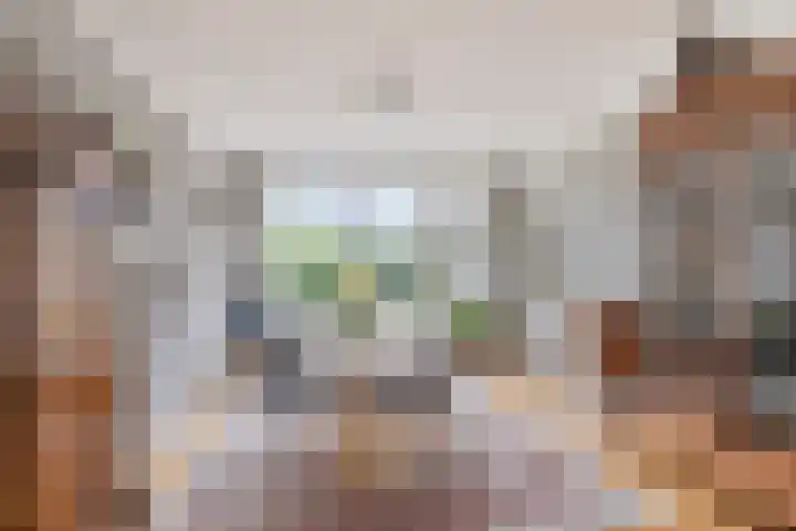 Rozenstraat 17 Didam thumbnail 6