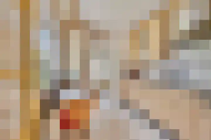 Rozenstraat 17 Didam thumbnail 8