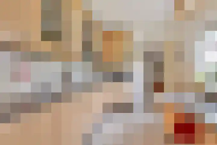 Rozenstraat 17 Didam thumbnail 9