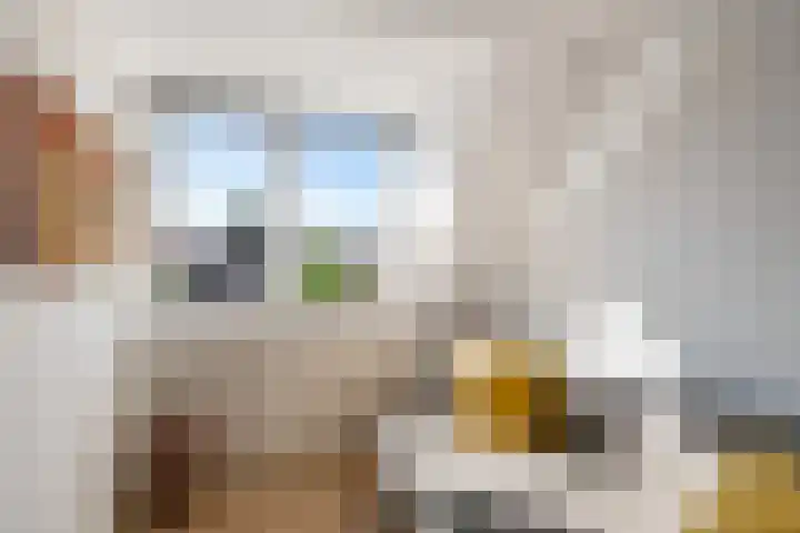 Rozenstraat 25 Woerden thumbnail 18