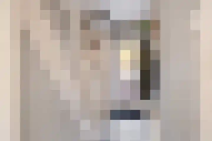 Rozenstraat 25 Woerden thumbnail 4