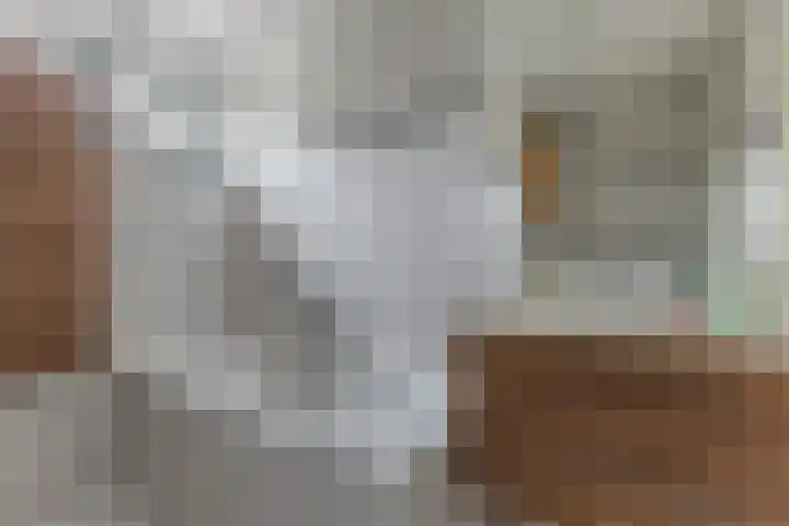 Rozenstraat 3 Badhoevedorp thumbnail 24