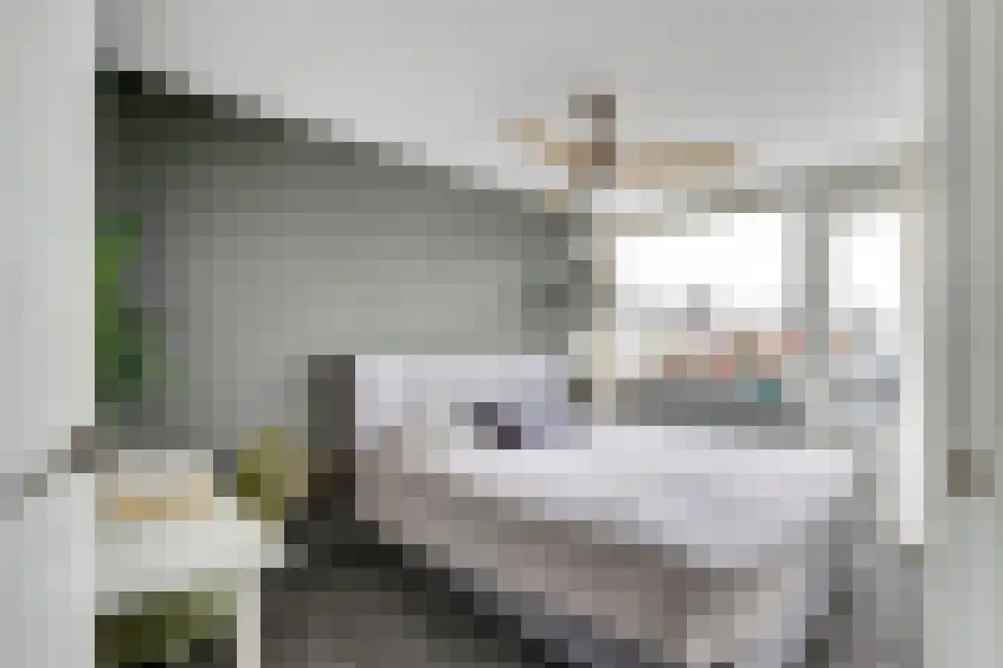 Rozenstraat 30 Barneveld thumbnail 22