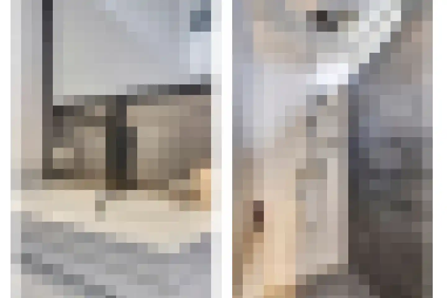 Rozenstraat 30 Barneveld thumbnail 29