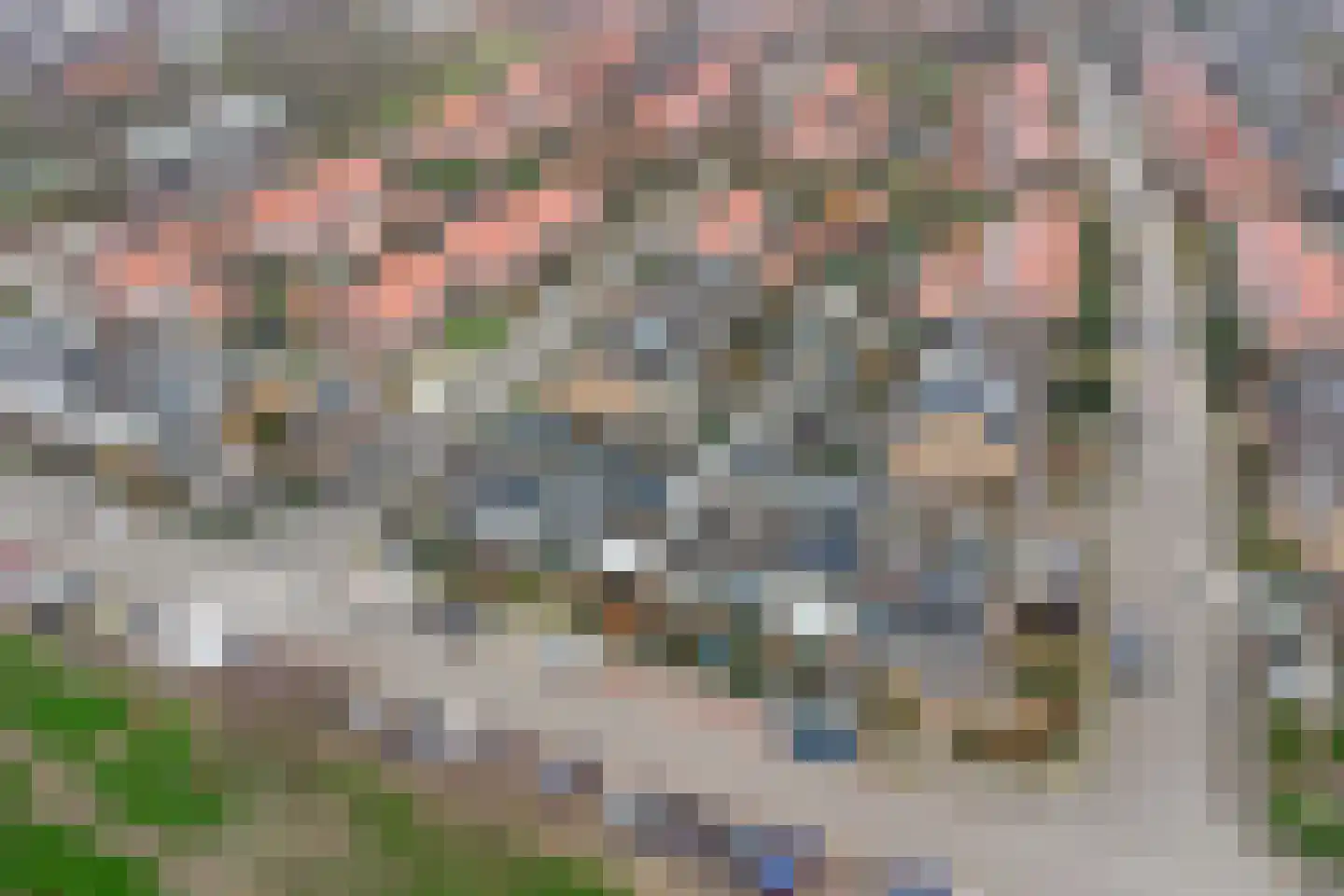 Rozenstraat 30 Barneveld thumbnail 40