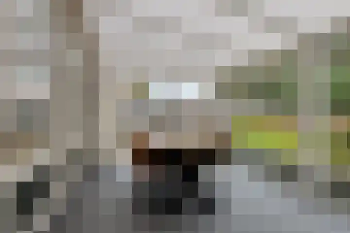 Rozenstraat 31 Bovensmilde thumbnail 19