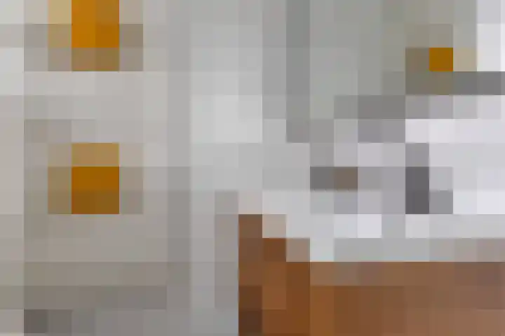 Rozenstraat 31 Bovensmilde thumbnail 23