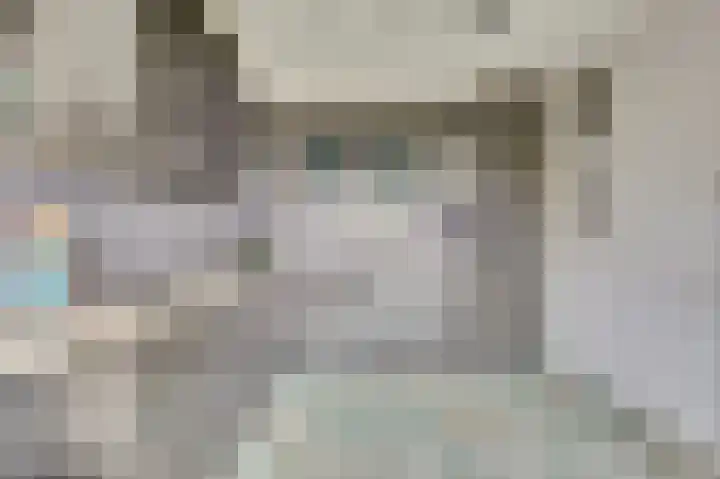 Rozenstraat 34 Didam thumbnail 11