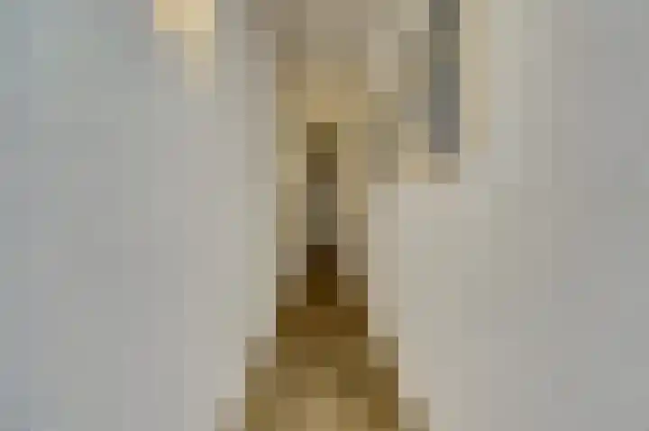 Rozenstraat 34 Didam thumbnail 13