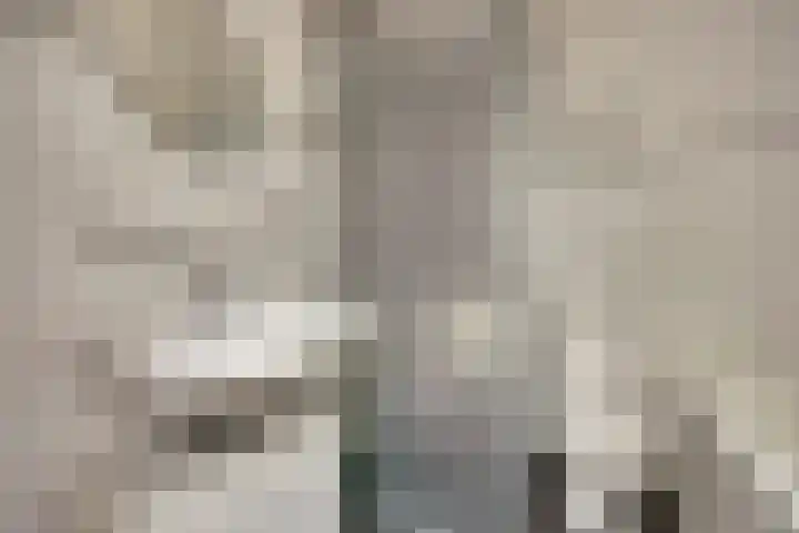 Rozenstraat 34 Didam thumbnail 23