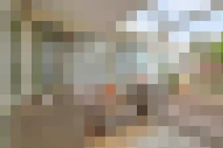 Rozenstraat 34 Didam thumbnail 24