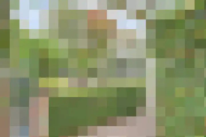 Rozenstraat 34 Didam thumbnail 29