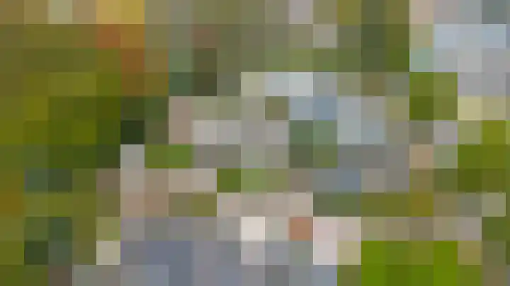 Rozenstraat 34 Didam thumbnail 37
