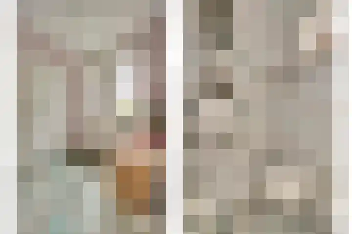 Rozenstraat 34 Didam thumbnail 4