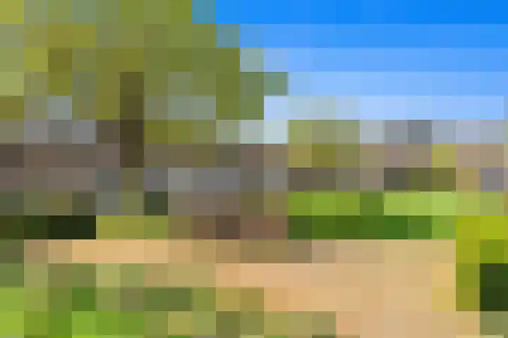 Rozenstraat 45 Den Haag thumbnail 47