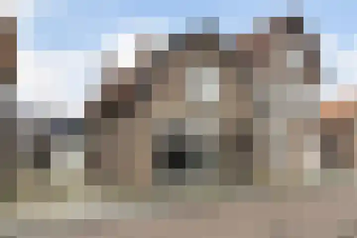 Rozenstraat 49 Steenwijk thumbnail 17