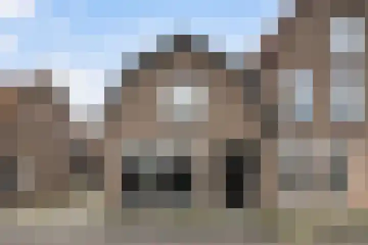 Rozenstraat 49 Steenwijk thumbnail 4