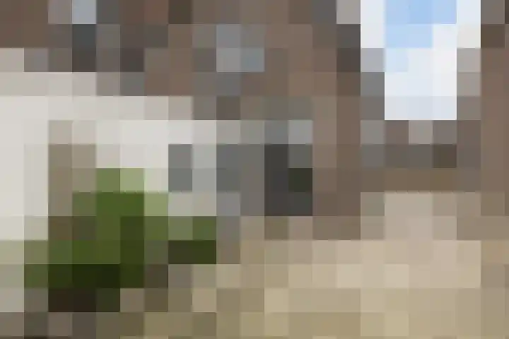 Rozenstraat 49 Steenwijk thumbnail 5