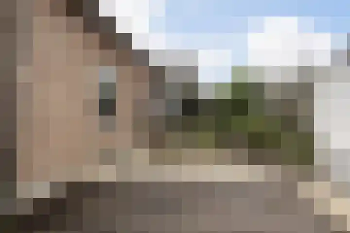 Rozenstraat 49 Steenwijk thumbnail 6