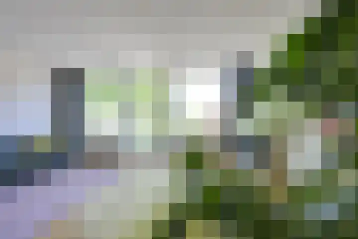 Rozenstraat 5 C Zeist thumbnail 10