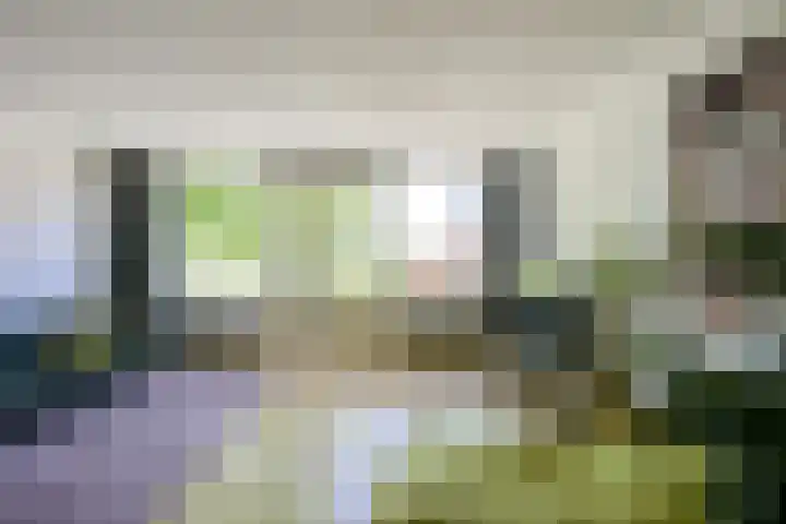 Rozenstraat 5 C Zeist thumbnail 12