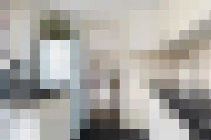 Rozenstraat 5 Woerden thumbnail 14