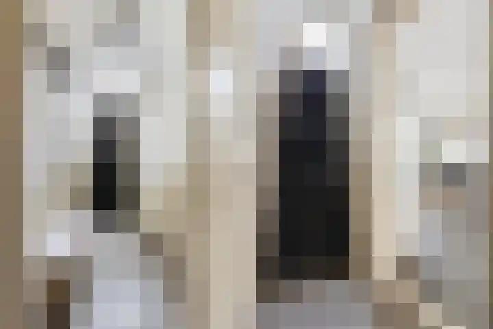 Rozenstraat 5 Woerden thumbnail 5