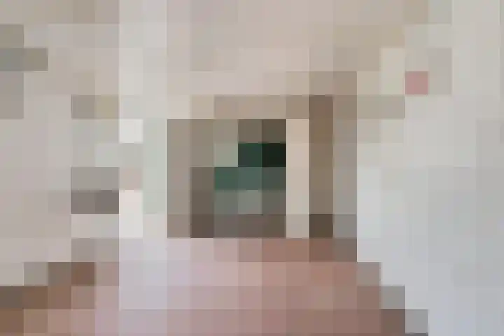 Rozenstraat 57 Didam thumbnail 10