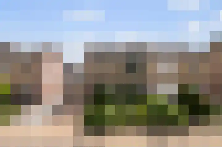 Rozenstraat 57 Didam thumbnail 19