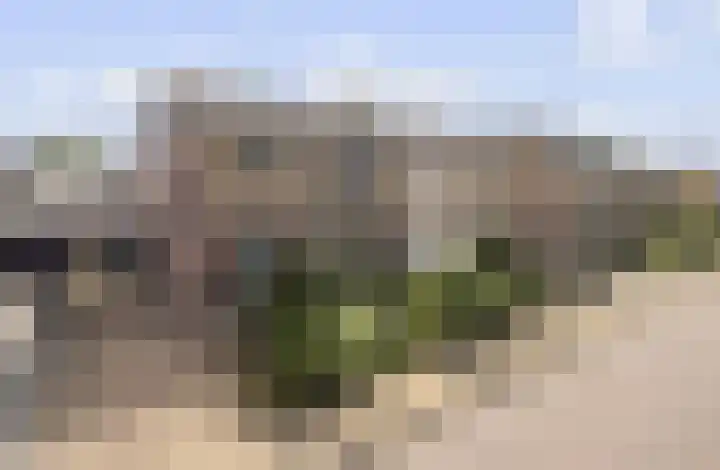 Rozenstraat 57 Didam thumbnail 32