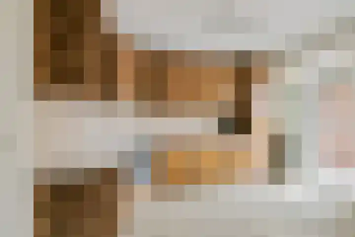 Rozenstraat 57 Didam thumbnail 6