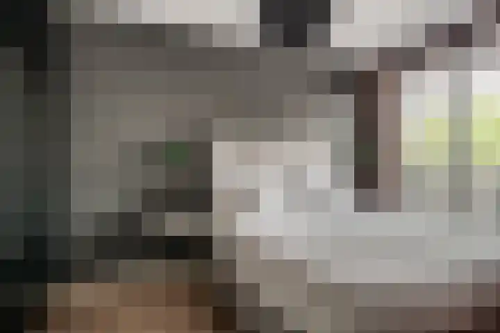 Rozenstraat 73 c Didam thumbnail 28