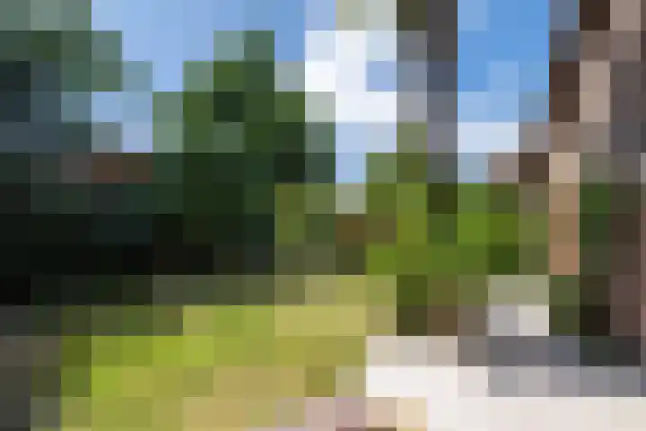 Rozenstraat 79 Didam thumbnail 13
