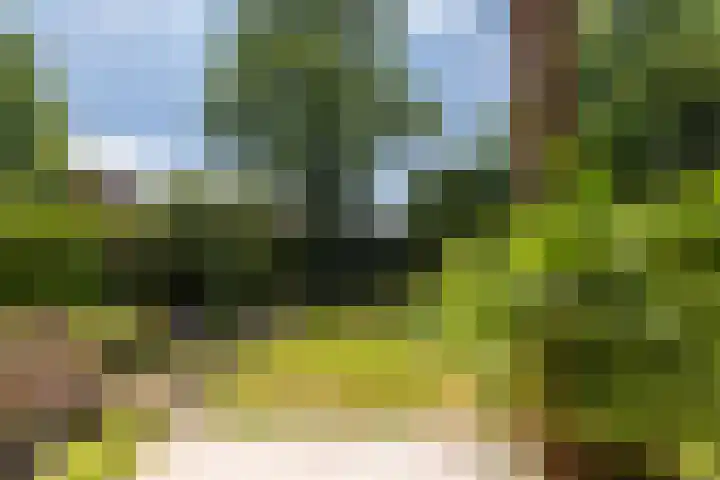 Rozenstraat 79 Didam thumbnail 14