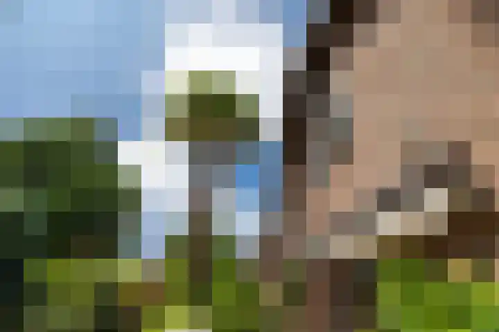 Rozenstraat 79 Didam thumbnail 16