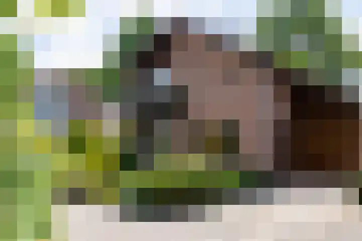 Rozenstraat 79 Didam thumbnail 21