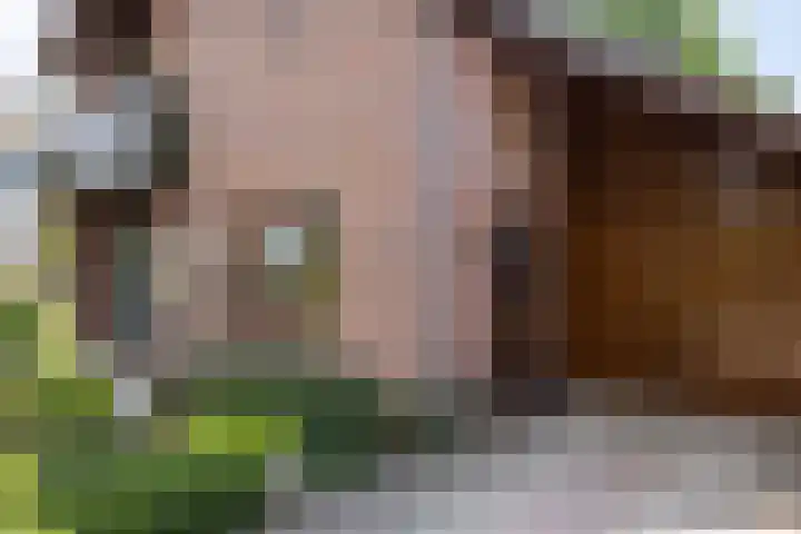 Rozenstraat 79 Didam thumbnail 22