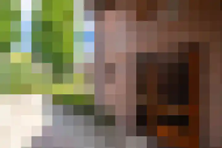 Rozenstraat 79 Didam thumbnail 25