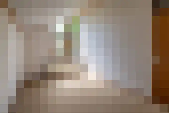 Rozenstraat 79 Didam thumbnail 31