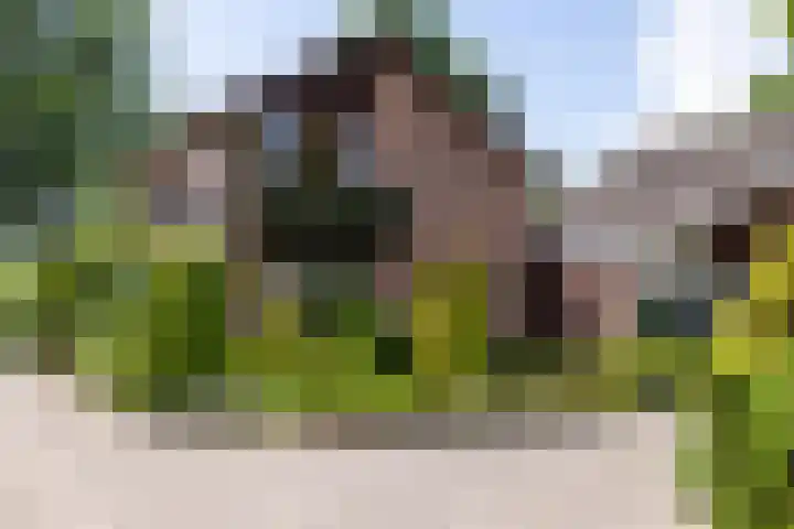 Rozenstraat 79 Didam thumbnail 45