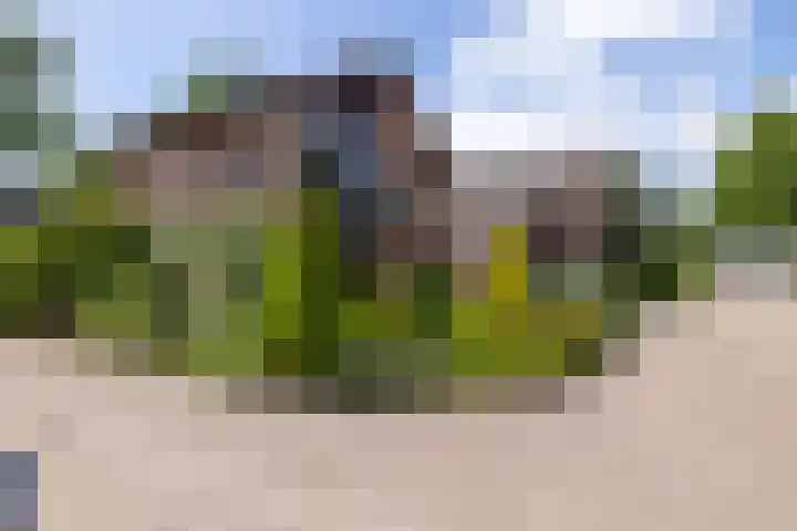 Rozenstraat 79 Didam thumbnail 46